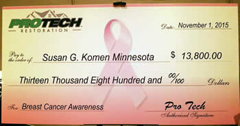 Susan G. Komen Minnesota